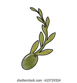 olive and branch icon image 