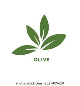 olive branch icon, vector olive  green leaf logo template nature beauty and healthy.  