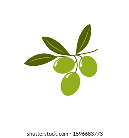 Olive branch icon vector illustration isolated on white background