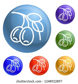 Olive branch icons set vector 6 color isolated on white background