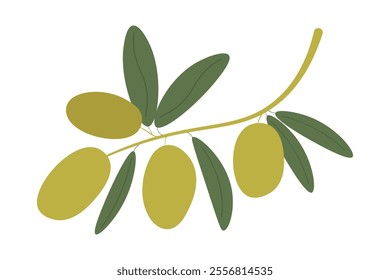 Olive branch. Illustration in flat style