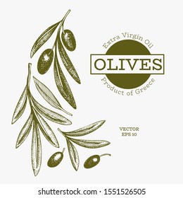 Olive branch illustration. Hand drawn vector food illustration. Engraved style mediterranean plant. Vintage botanical picture.