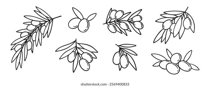  olive branch isolated doodle hand drawn on white background set. Outline drawing olive tree branch for menu, logo, greeting cards. Vector illustration