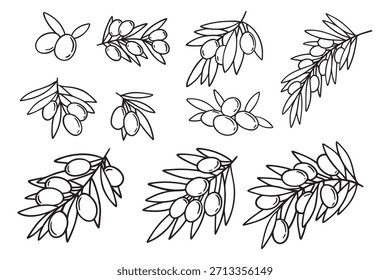 ramo de oliveira mão doodle isolado desenhado no fundo branco conjunto. Esboço desenho ramo de oliveira para menu, logotipo, cartões de saudação. Ilustração vetorial