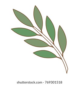 olive branch isolated icon