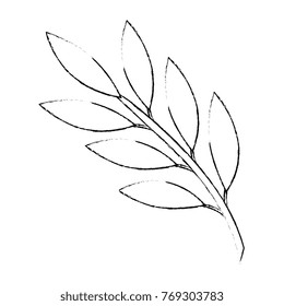 olive branch isolated icon