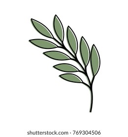 olive branch isolated icon