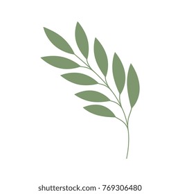 olive branch isolated icon