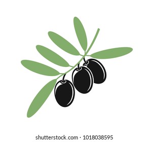 Olive branch. Isolated olive on white background. EPS 10. Vector illustration