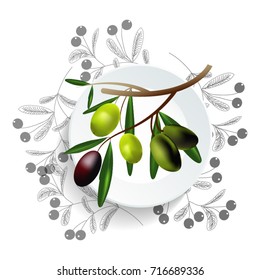 Olive branch isolated on white background,vector design.