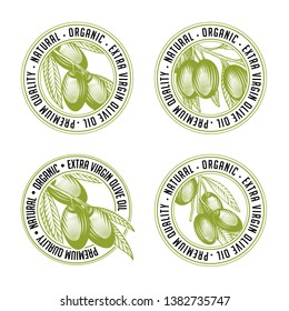 Olive branch label stamp design set. Vector illustration of olive tree twigs in engraving technique. Isolated on white background.