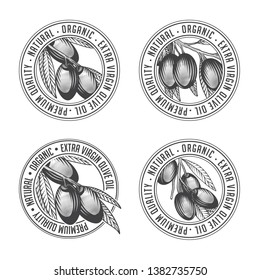 Olive branch label stamp design set. Vector illustration of olive tree twigs in engraving technique. Isolated on white background.