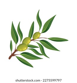 Olivenzweigblatt-Symbol einzeln