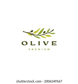 olive branch leaf logo vector icon illustration