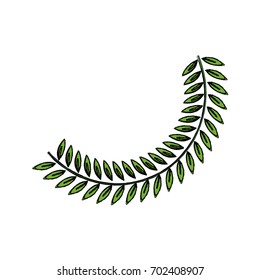 olive branch leaf peace flora symbol