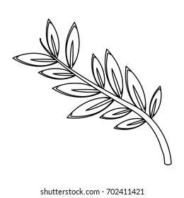 olive branch leaf peace flora symbol