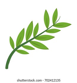 olive branch leaf peace flora symbol