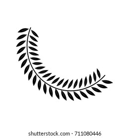 olive branch leaf peace flora symbol