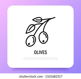 Olive branch with leaf thin line icon. Olive oil production. Vector illustration.