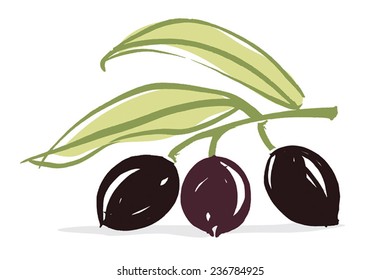 Olive branch with olive leaves and Black ripe olives. Hand drawn with brush & ink, vector illustration, fully adjustable & scalable.