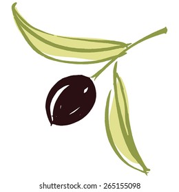 Olive branch with olive leaves and Black ripe olive. Hand drawn with brush & ink, vector illustration, fully adjustable & scalable.