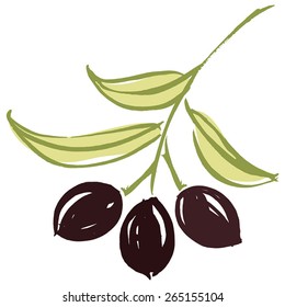 Olive branch with olive leaves and Black ripe olives. Hand drawn with brush & ink, vector illustration, fully adjustable & scalable.