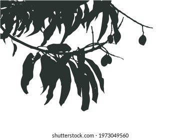 Olive branch with leaves. Black and white silhouette. Vector illustration.