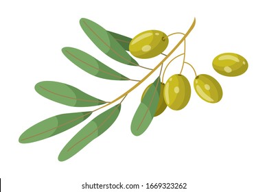 Olive branch with leaves element of treatment hair. Glossy green plant raw vegan product isolated on white. Vegetarian restore symbol for skincare and spa procedure. Vitamin and herbal remedy vector