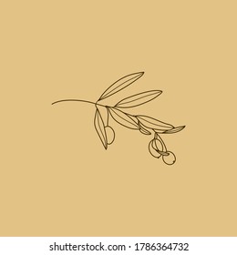 Olive Branch and leaves   and Fruit  Outline Botanical leaves In Modern Minimalist Style  Vector Illustration For printing t  shirt  Web Design  beauty Salons  Posters  creating logo