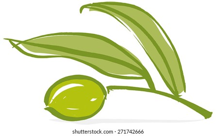 Olive branch with olive leaves and Green ripe olive. Hand drawn with brush & ink, vector illustration, fully adjustable & scalable.