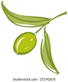 Olive branch with olive leaves and Green ripe olive. Hand drawn with brush & ink, vector illustration, fully adjustable & scalable.