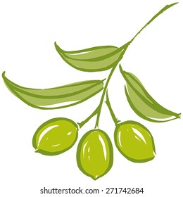 Olive branch with olive leaves and Green ripe olives. Hand drawn with brush & ink, vector illustration, fully adjustable & scalable.