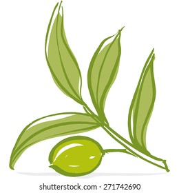 Olive branch with olive leaves and Green ripe olive. Hand drawn with brush & ink, vector illustration, fully adjustable & scalable.