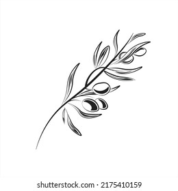 Olive branch with leaves, hand-painted, black outline. Design element for printing posters, menus, postcards, wall decoration, wallpaper. Vector illustration.
