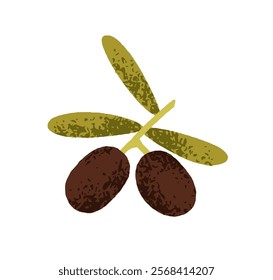 Olive branch with leaves. Healthy natural Mediterranean plant, fresh Greek vegetables growing. Black berries on twig with leaf. Botanical flat vector illustration isolated on white background