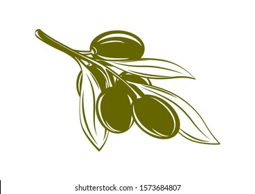 Vectores, imágenes y arte vectorial de stock sobre Olive Outline