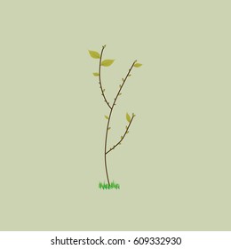 olive Branch with leaves and kidneys