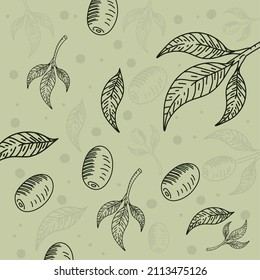 olive branch leaves nature pattern