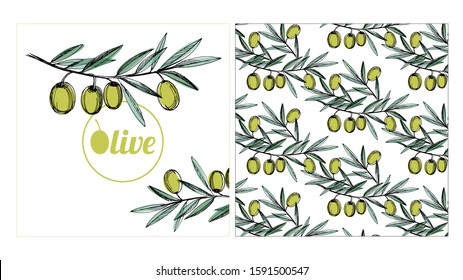 Olive branch with leaves and olives. Logo design for olive oil. Seamless pattern of olive branches on white background