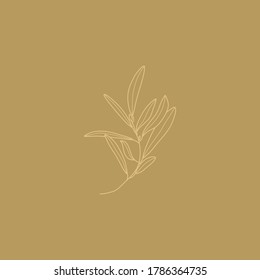 Olive Branch with leaves. Outline Botanical leaves In a Modern Minimalist Style. Vector Illustration For printing on t-shirt, Web Design, beauty Salons, Posters, creating a logo and other