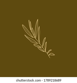 Olive Branch with leaves. Outline Botanical leaves In a Modern Minimal Style. Vector Illustration For printing on t-shirt, Web Design, beauty Salons, Posters, creating a logo and other