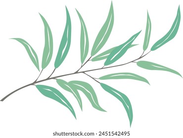 rama de olivo con hojas, dibujo de Vector sobre un fondo blanco
