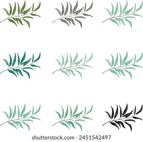 olive branch with leaves, vector drawing on a white background