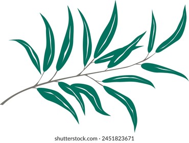 olive branch with leaves, vector drawing on a white background