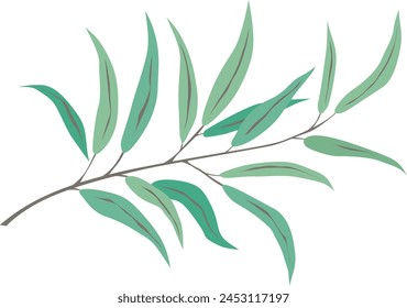 olive branch with leaves, vector drawing on a white background