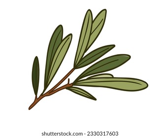 rama de olivo con hojas, ilustración vectorial