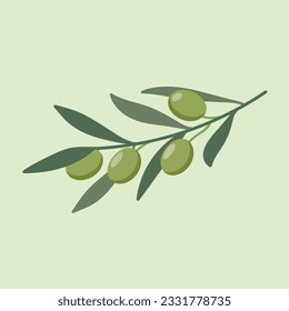 Olive branch and leaves vector illustration