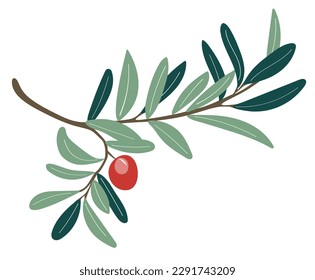 olive branch with light and dark green leaves and red ripe berry flat vector nature illustration design isolated on white background hand drawn