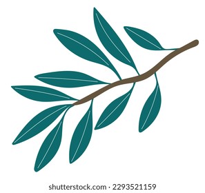 olive branch with light green leaves flat vector nature ecological mediterranean plants minimalistic illustration design isolated on white background hand drawn