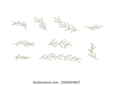 Olive Branch Line art Collection, botanical vector elements